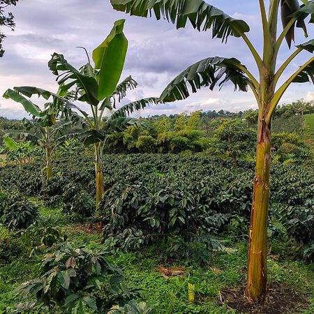 شقة Casa Laureles فيلانديا المظهر الخارجي الصورة